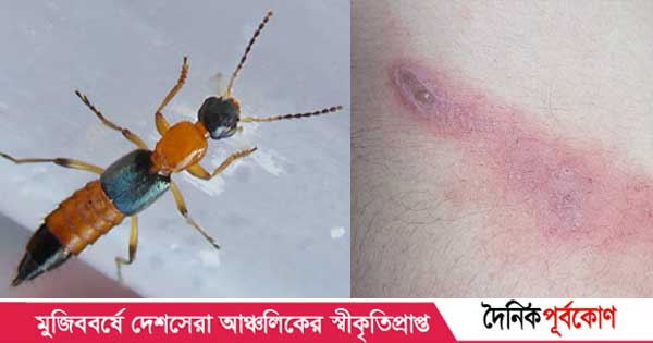 Katta dildolar bilan porno