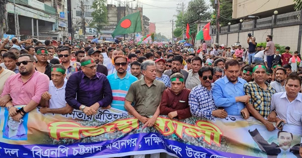 দেশে গণতন্ত্র ফিরিয়ে আনার যাত্রা শুরু হয়েছে: আমীর খসরু