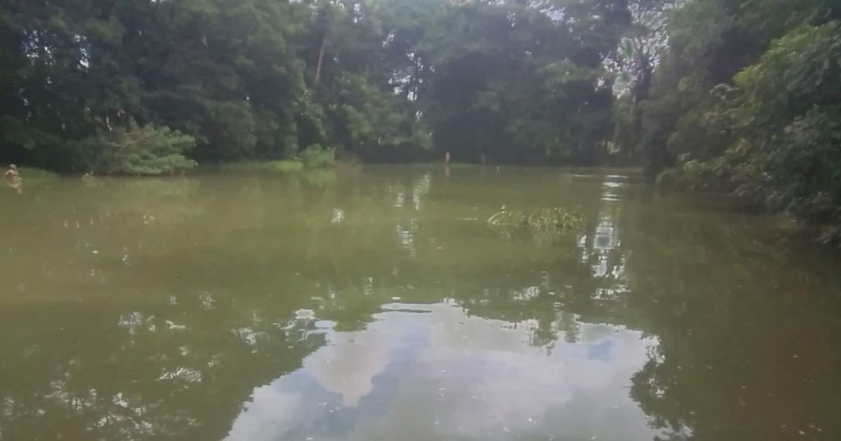 বোয়ালখালীতে বিষ দিয়ে পুকুরের মাছ লুট