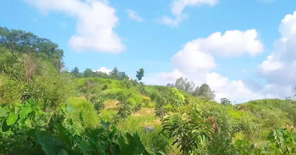 মহেশখালীর পাহাড়ি অরণ্যে ‘অস্ত্রের মেলা’