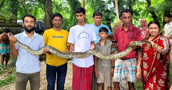 বোয়ালখালীতে মাছ ধরার ফাঁদে আটকা পড়া অজগর উদ্ধার