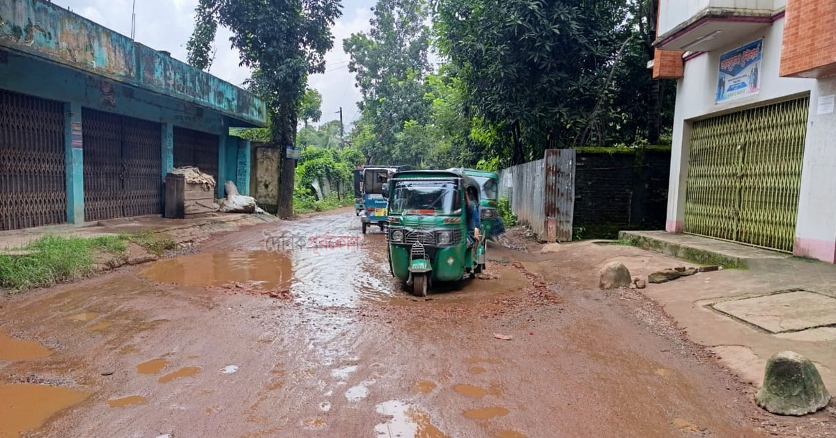 লোহাগাড়া দরবেশ হাট ডিসি সড়কের বেহাল দশা, দেখার কেউ নেই