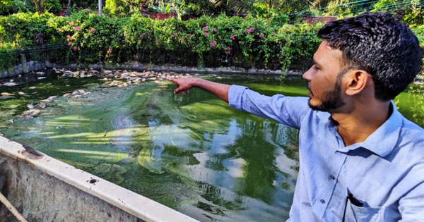 মিরসরাইয়ে ছাত্রদল নেতার মৎস্য প্রকল্পের মাছ মারার অভিযোগ আ.লীগ নেতার বিরুদ্ধে