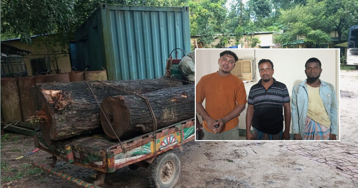 কেইপিজেড থেকে গাছ চুরির সময় গ্রেপ্তার ৪