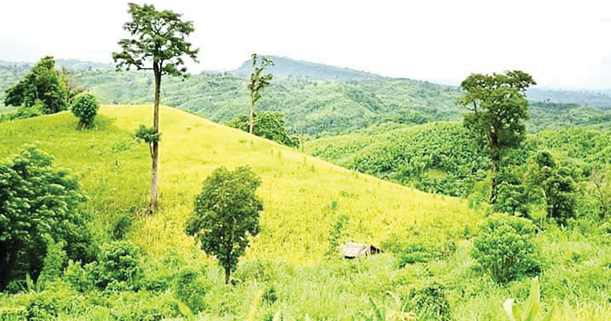 নাইক্ষ্যংছড়ির পাহাড়ে মিলল শ্রমিকের ঝুলন্ত লাশ