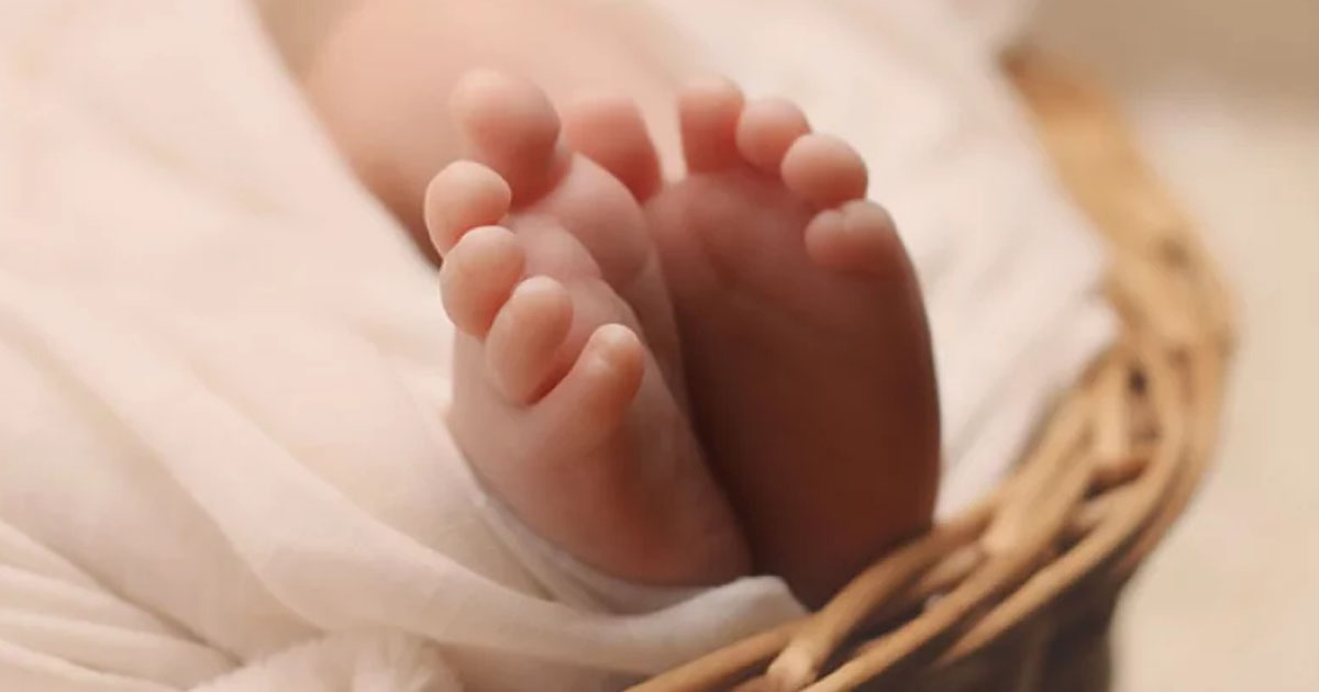 চকরিয়ায় নবজাতকের লাশ উদ্ধার