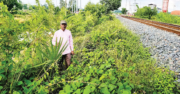 সাতকানিয়ার মলিন বড়ুয়ার বৃক্ষপ্রেম