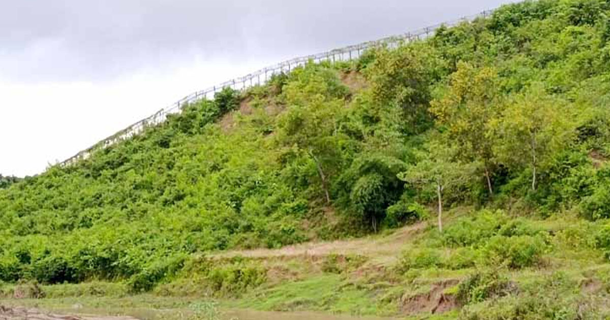 বান্দরবান সীমান্তে স্থলমাইন বিস্ফোরণে বিজিবি সদস্য আহত