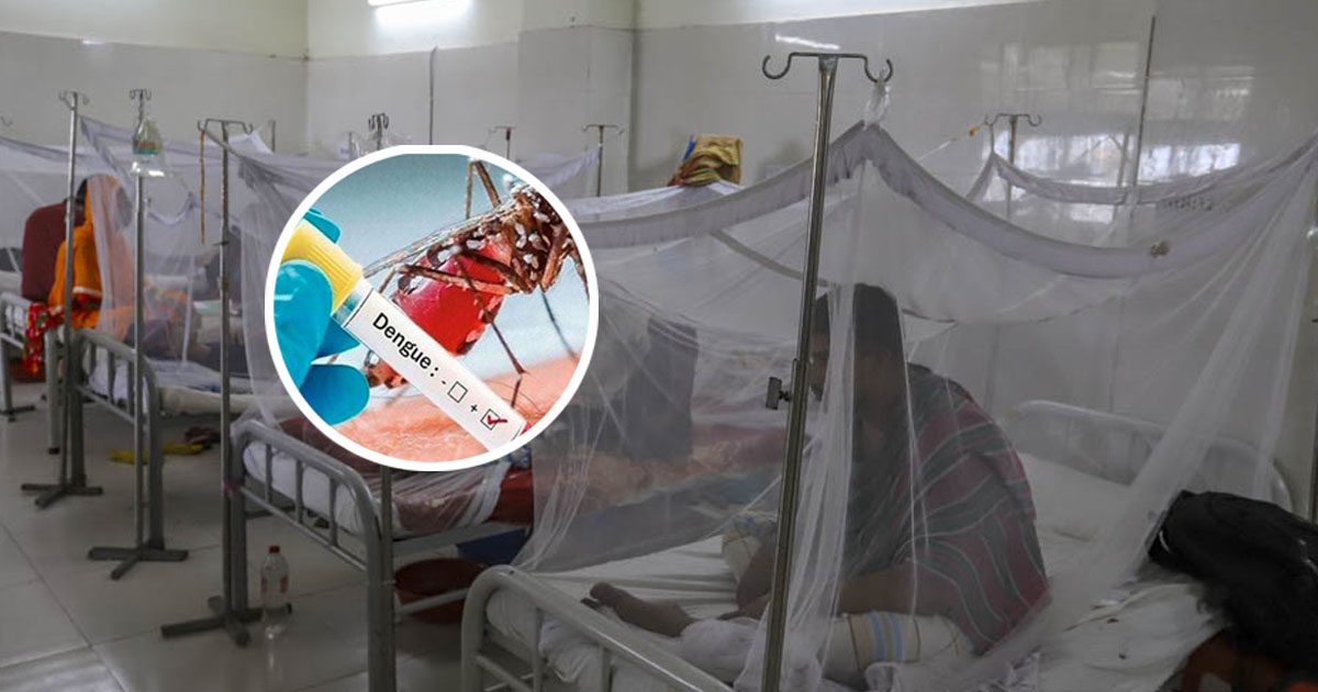 ডেঙ্গুতে ৫ জনের মৃত্যু, হাসপাতালে ভর্তি ১১৪৭
