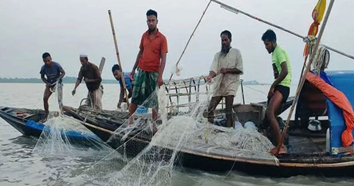 জাটকা শিকারে ৮ মাসের নিষেধাজ্ঞা শুরু আজ থেকে