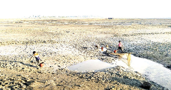 চাঁদাবাজি, মহেশখালীতে ছয় মৎস্য-লবণ প্রকল্প বন্ধ