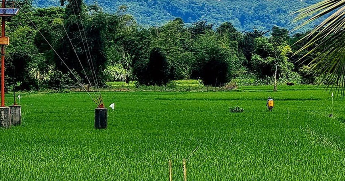 মিয়ানমারে গোলাবর্ষণের বিকট শব্দে উখিয়া-টেকনাফ সীমান্তে আতঙ্ক