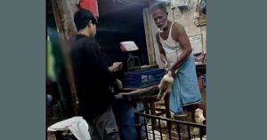 চকরিয়ায় মৃত মুরগি জবাই করে বিক্রি, অর্ধ লাখ টাকা জরিমানা