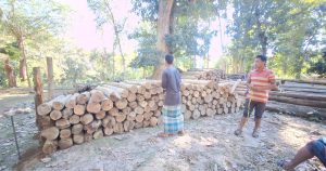 ফটিকছড়িতে পাচারকালে সেগুনসহ ১৪৩ টুকরো অবৈধ কাঠ উদ্ধার