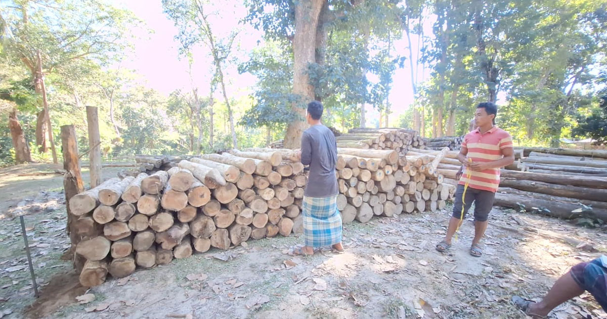 ফটিকছড়িতে পাচারকালে সেগুনসহ ১৪৩ টুকরো অবৈধ কাঠ উদ্ধার