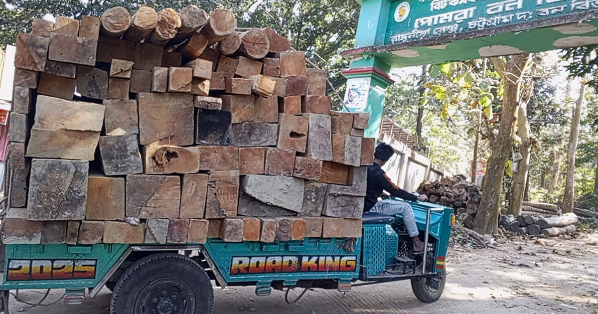 রাঙ্গুনিয়ায় সেনাবাহিনীর অভিযানে ১১০ ফুট কাঠ জব্দ