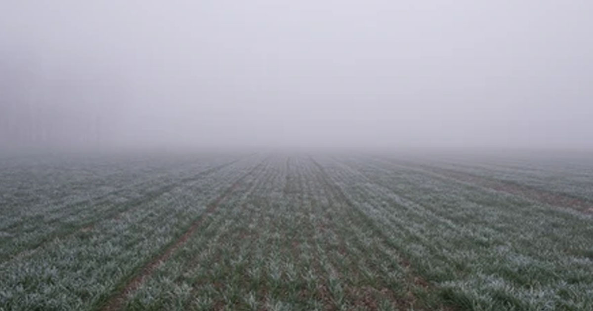 লোহাগাড়ায় ‘তীব্র শীতে’ কৃষকের মৃত্যু