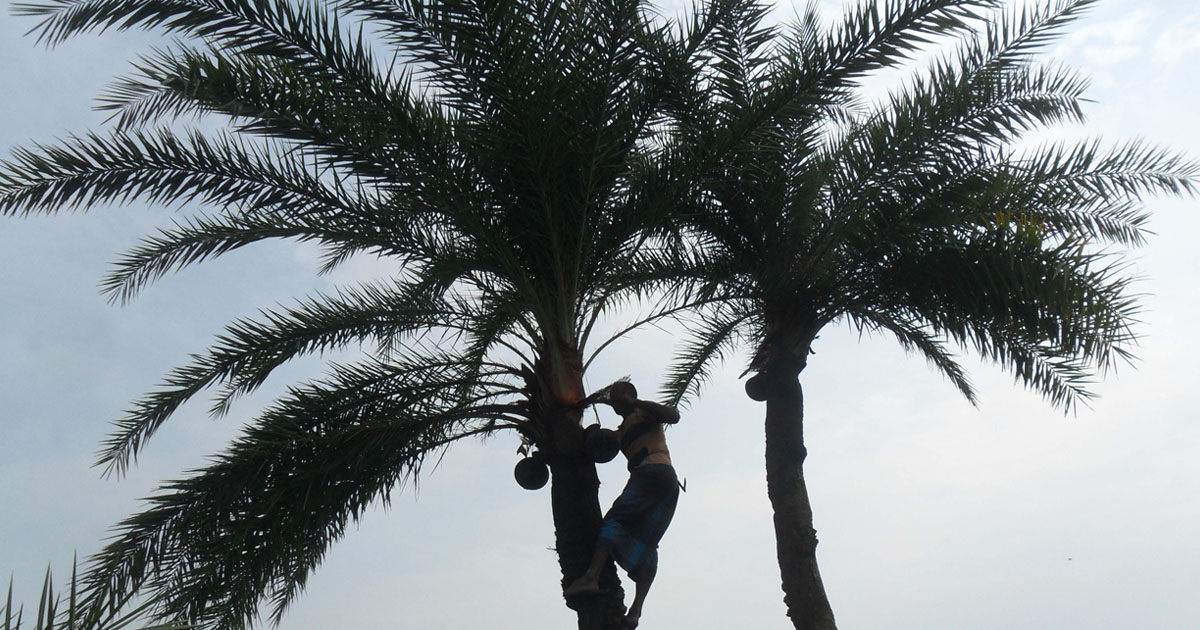 রাঙ্গুনিয়ায় তুচ্ছ ঘটনাকে কেন্দ্র করে খেজুর গাছিকে কুপিয়ে হত্যা