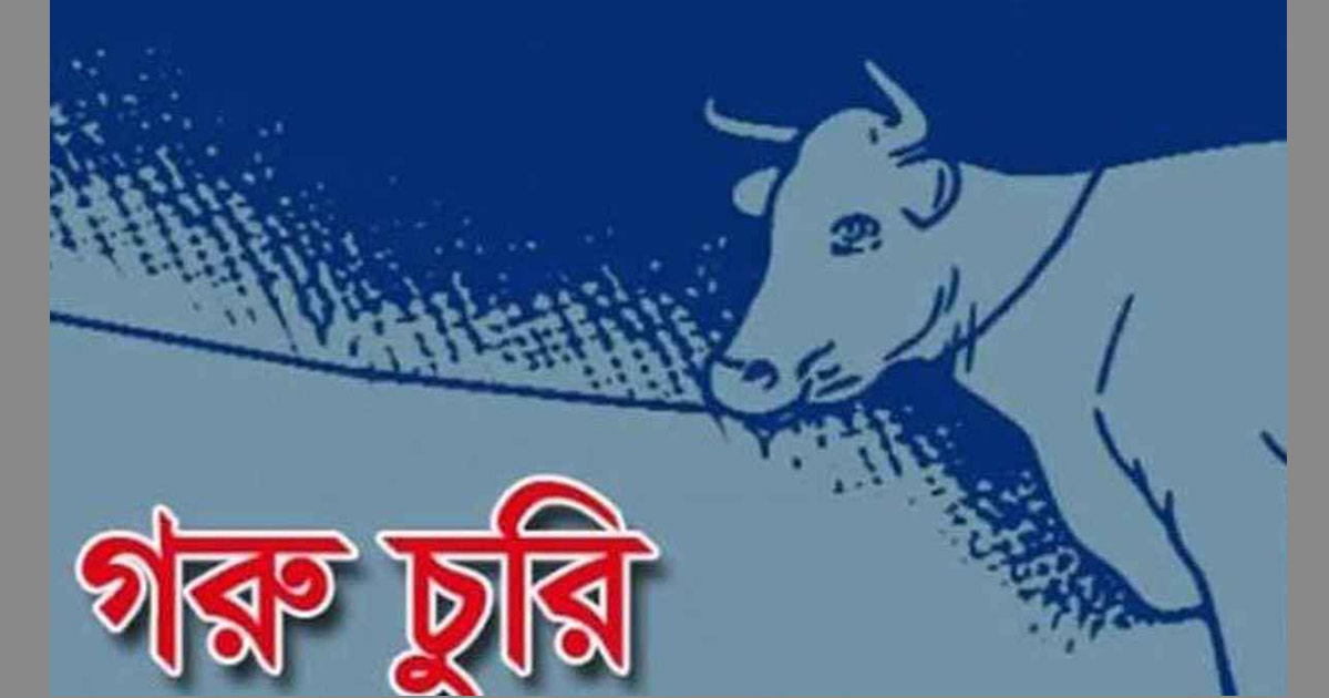 রাউজানে মালিককে ঘরে আটকে ৫ গরু চুরি