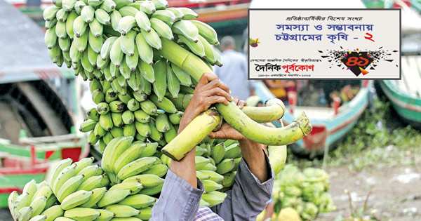 পাহাড়ের কলায় সচল অর্থনীতি