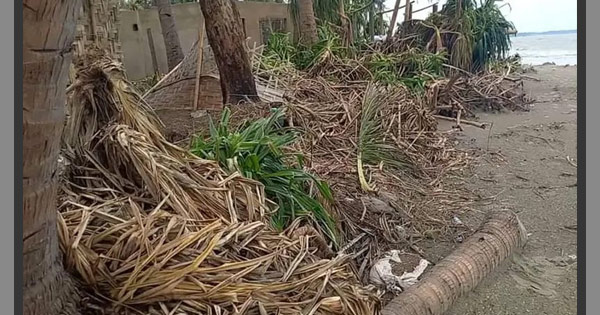 সেন্টমার্টিনে কেয়াবন উপড়ে রিসোর্ট নির্মাণ, পরিবেশ অধিদপ্তরের মামলা