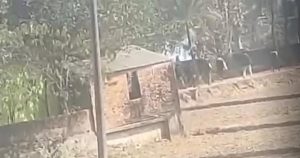 রাউজানে দুই গ্রুপের মধ্যে গোলাগুলি