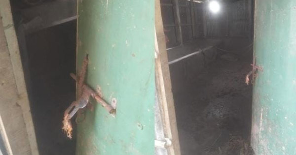 গোয়ালঘরের তালা ভেঙে ৩ গরু চুরি আনোয়ারায়, ৯ লাখ টাকার ক্ষতি