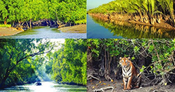 প্রকৃতির লীলাভূমি সুন্দরবন