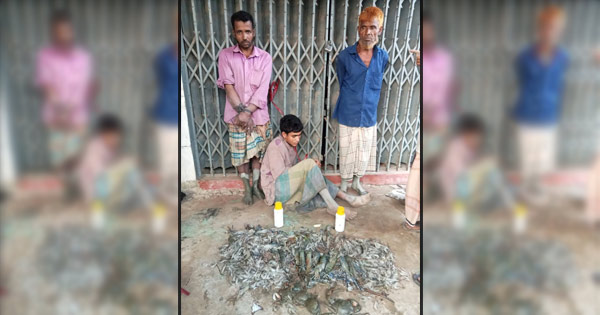 সাঙ্গু নদে বিষ দিয়ে মাছ শিকার: গণপিটুনির পর আটক ৩