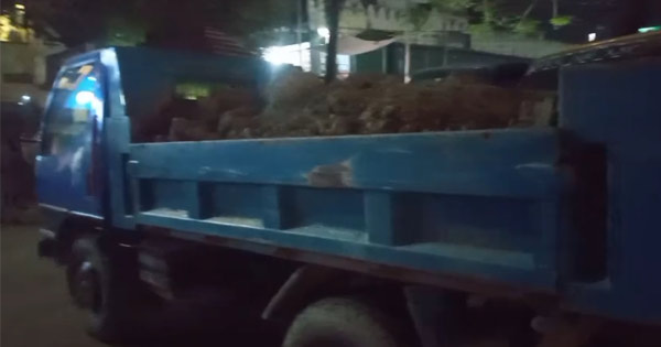 চট্টগ্রামের সীতাকুণ্ড উপজেলার বাড়বকুণ্ড ইউনিয়নে পাহাড় কেটে মাটি পাচারের সময় ৩টি ডাম্প ট্রাক আটক করেছে পুলিশ।