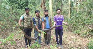 মিরসরাই লোকালয় থেকে অজগর উদ্ধার, পাহাড়ে অবমুক্ত