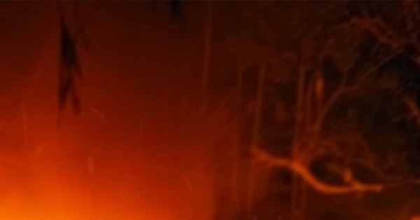 কাপ্তাইয়ে শর্ট সার্কিটের আগুনে পুড়ল ২ বসতঘর