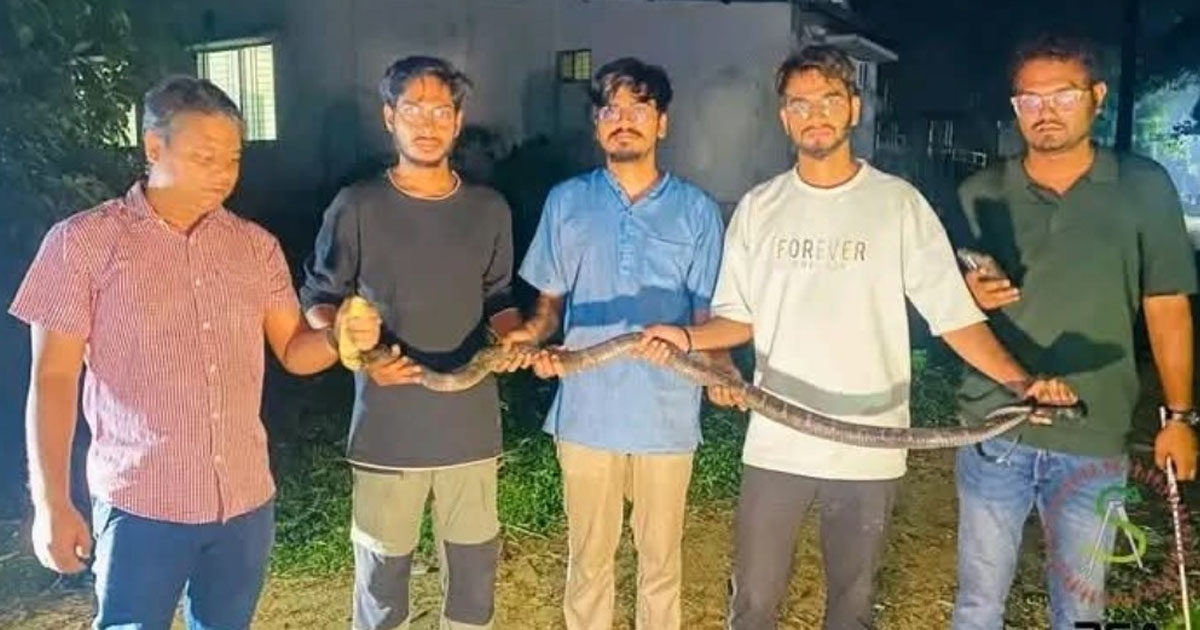চট্টগ্রাম বিশ্ববিদ্যালয়ে ৮ ফুট লম্বা কিং কোবরা সাপ উদ্ধার