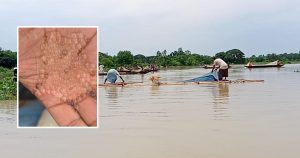 হালদা নদীতে নমুনা ডিম ছেড়েছে কার্প ও রুই জাতীয় মা-মাছ