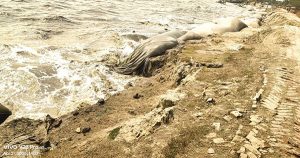 আজ ভয়াল ২৯ এপ্রিল : পানির টাকা জলে, অরক্ষিত উপকূল