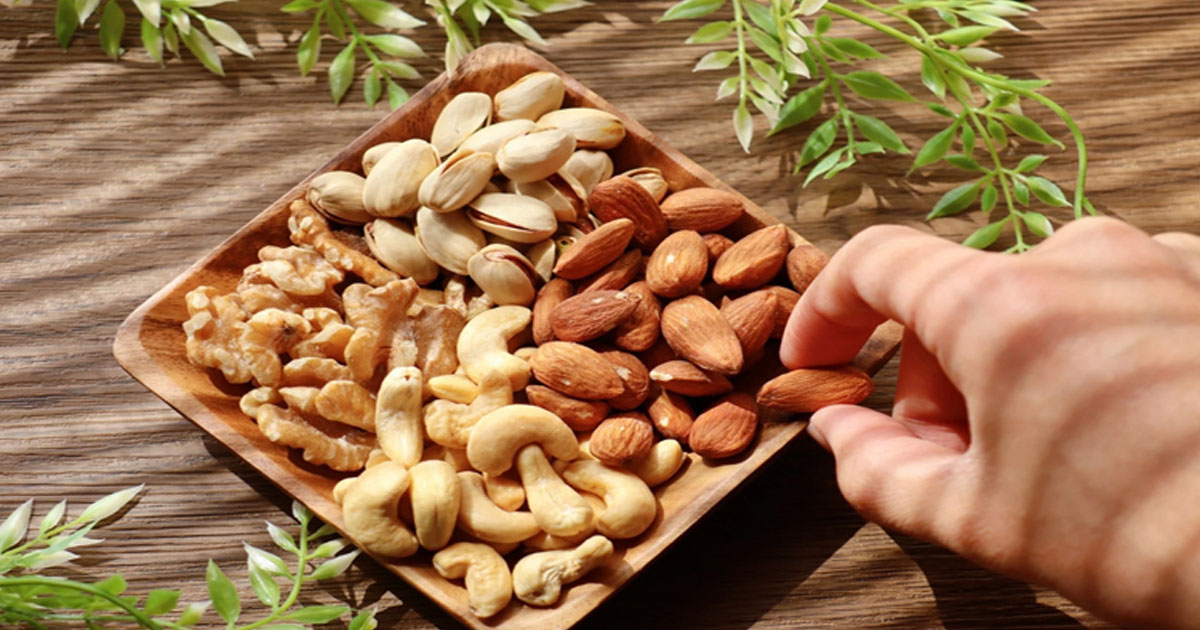 দৈনিক পূর্বকোণ - চট্টগ্রামের দৈনিক মস্তিষ্কের কর্মক্ষমতা বাড়ায় কাঠবাদাম