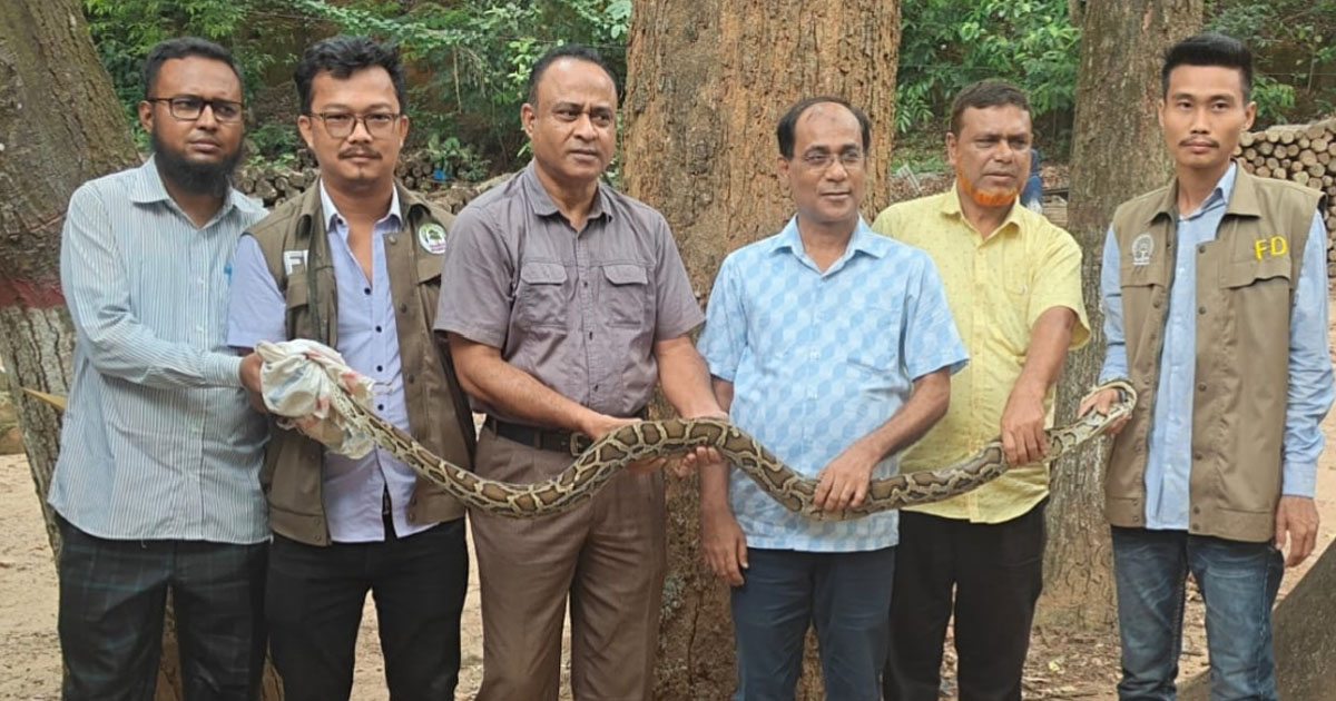 জানালায় প্যাঁচানো অজগর সাপ কাপ্তাই ন্যাশনাল পার্কে অবমুক্ত