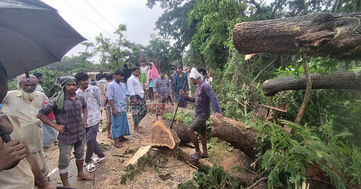 বোয়ালখালীতে হঠাৎ ঘূর্ণিবাতাসে গাছপালা ভেঙে শিশুসহ আহত ৯