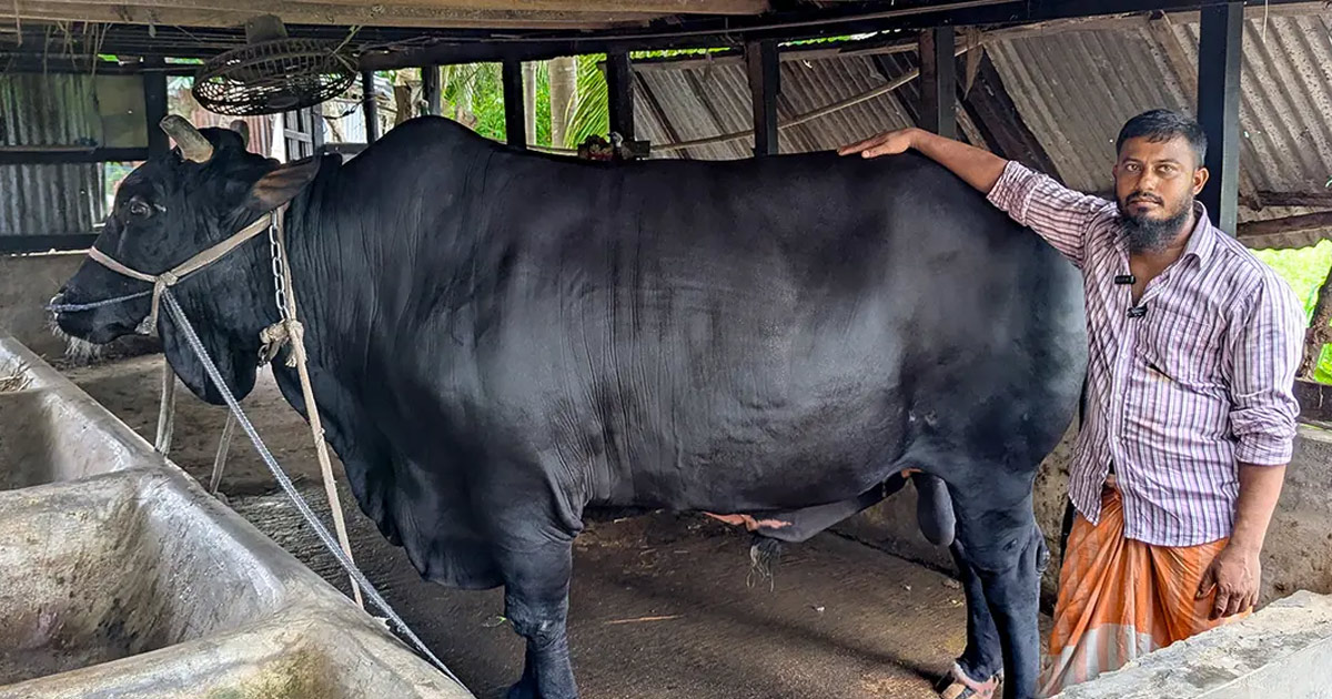২০ লাখ টাকায় বিক্রি, খালেদা জিয়াকে উপহার দেওয়া সেই ‘কালো মানিক’