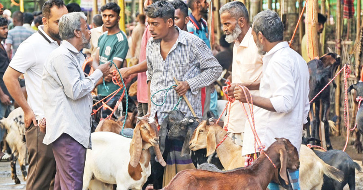 দরদামে মুখর ‘ছাগলবাড়ি’ পোস্তারপাড়