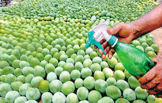 চট্টগ্রামে ফলে ‘কার্বাইড’ ব্যবহার না করার নির্দেশ, না মানলে ব্যবস্থা