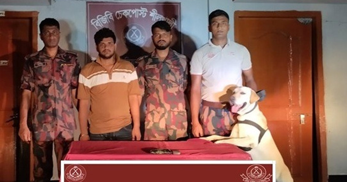 টেকনাফে ইয়াবাসহ পাচারকারী আটক