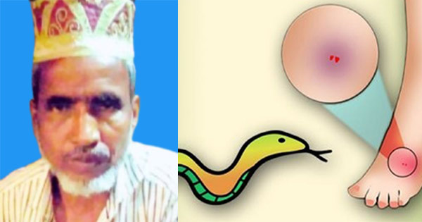 রাঙ্গুনিয়ায় বিষাক্ত সাপের কামড়ে কৃষকের মৃত্যু