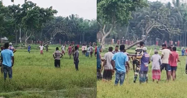 বাংলাদেশি গরু ধরে নিয়ে যাওয়ার সময় ধাওয়া খেল বিএসএফ