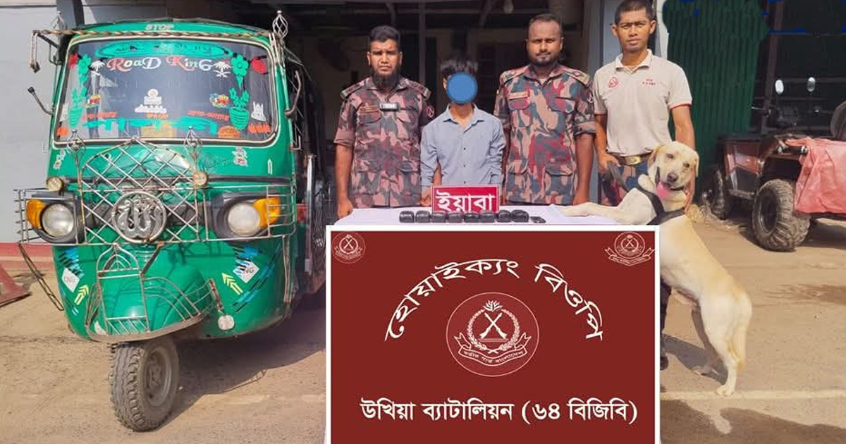 টেকনাফে পাচারের সময় ১৬ হাজার ইয়াবা উদ্ধার, চালক আটক