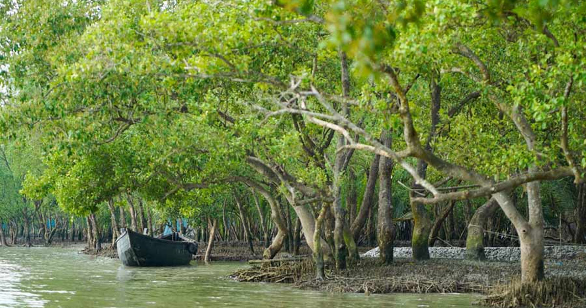 ৩ মাসের জন্য সুন্দরবন প্রবেশে নিষেধাজ্ঞা