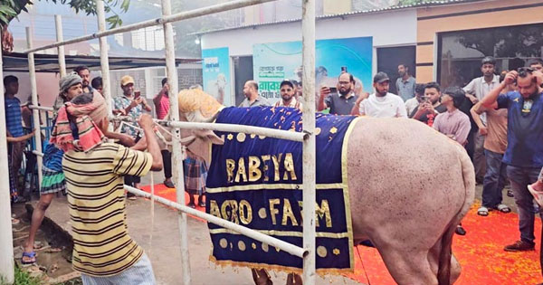 খামার থেকে লাল গালিচায় বিদায় সংবর্ধনা পেল ‘ডোনাল্ড ট্রাম্প’