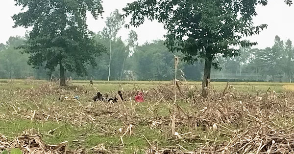 দৈনিক পূর্বকোণ - চট্টগ্রামের দৈনিক ১১ জনকে বাংলাদেশে পুশইনের চেষ্টা পণ্ড বিজিবির বাধায়