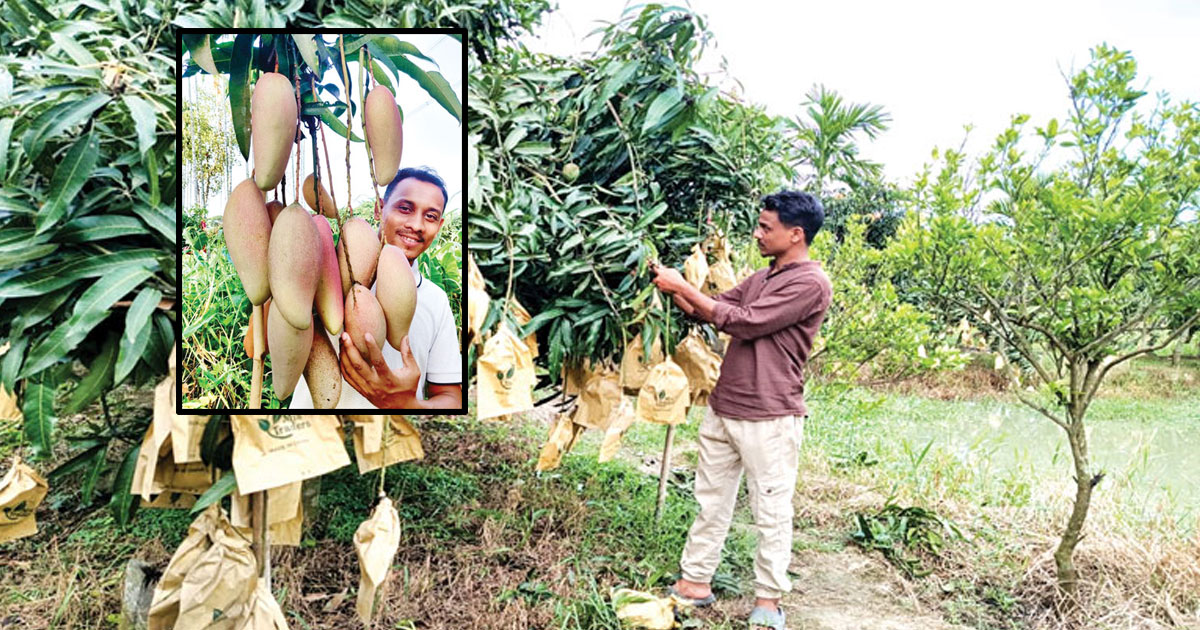 দৈনিক পূর্বকোণ - চট্টগ্রামের দৈনিক খিতাপচর যেন এক টুকরো রাজশাহী