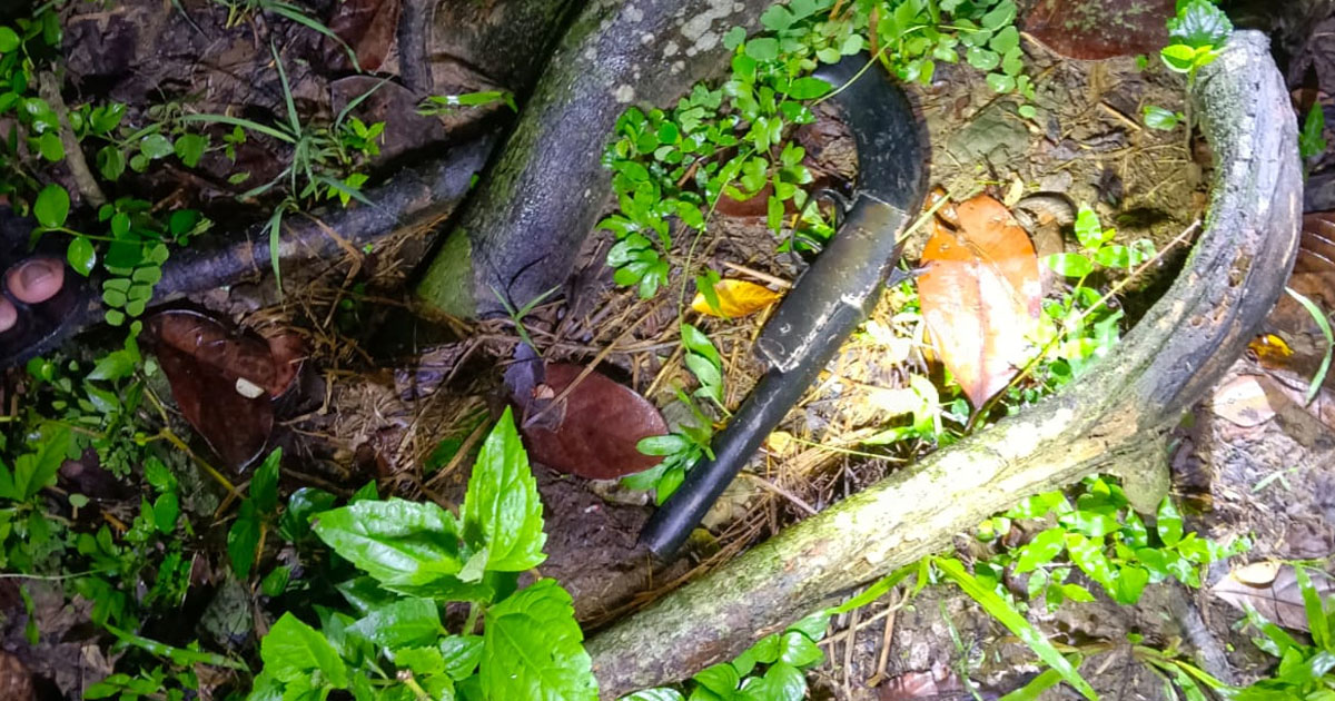 দৈনিক পূর্বকোণ - চট্টগ্রামের দৈনিক রাঙ্গুনিয়ায় গভীর রাতে অস্ত্র ফেলে পালালো এক ব্যক্তি